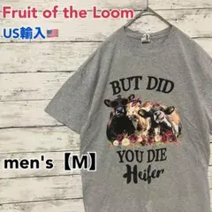 ●T403【US輸入】フルーツオブザルーム Tシャツ グレー系 men's【M】
