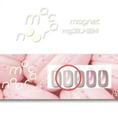 【未開封】enoi macaroon magnet 231番