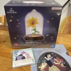 一番くじ ディズニープリンセス ラストワン