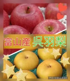 ☆訳あり☆破格セット☆富山産呉羽梨☆青森りんご☆４～５玉入りセット