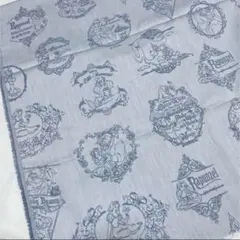 ディズニー　プリンセス　生地　布　ハギレ　はぎれ