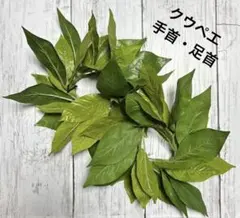 Item thumbnail for item d032650f-c181-402e-bb0d-c7bc562c3681