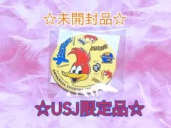 USJ限定ノベルティ缶バッジ