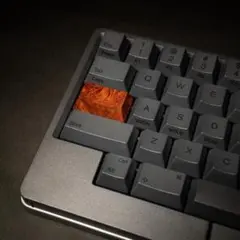 HHKB Studio木製キートップ　Control　花梨瘤