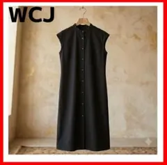 WCJ ✨ノースリーブシャツワンピース　ボタン前開き　フレンチスリーブのサムネイル