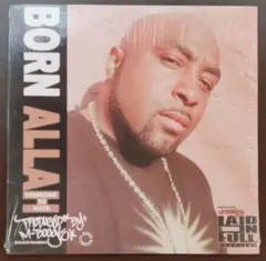 とんかつDJ様 リクエスト 2点 まとめ商品