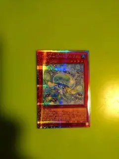 マルチャミープルリア　プリシク