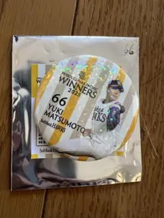 ソフトバンクホークス スポーツ選手