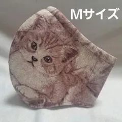 5層仕立てＭ　 裏側3層ハニカムメッシュ　飛沫防止　子猫　洗えるマスク