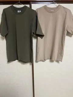 PRO CLUB Tシャツ 2色セット Lサイズ