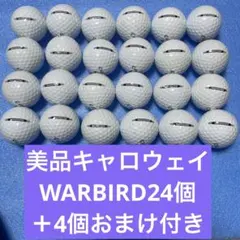 美品キャロウェイWARBIRD24個＋4個おまけ付き送料無料