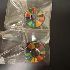 大阪万博　SDGs ピンバッジ 2個セット 新品未使用