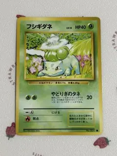 ポケモンカード フシギダネ 旧裏面 lv.13