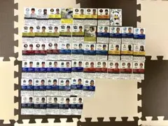 プロ野球チップス スポーツカード