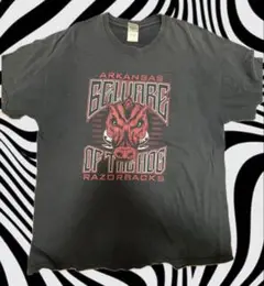 US 古着 tシャツ 猪