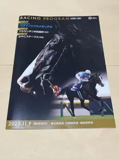 レーシングプログラム 趣味