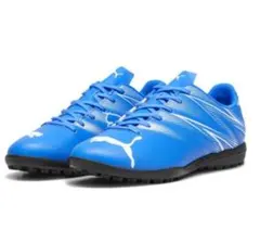 Item thumbnail for item 5abb2c1e-f041-46a6-9c74-7eb74dda9740