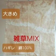 0932紅サシの多い完熟小梅 SS〜Mサイズ 2kgキルトパッチ梅店 - メルカリ