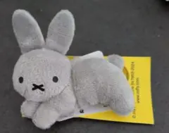 Item thumbnail for item 5d11fa99-61cb-4f17-8e2f-dc06b3b37504