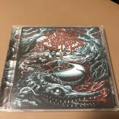 Omni Express デスコア