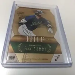 Item thumbnail for item 9c3a9b94-b24a-4e1b-973c-f7730484b3de