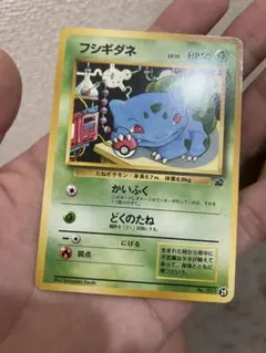 旧裏 ポケモンカード フシギダネ イントロパック オマケ付 - メルカリ