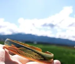 開運絵画　❀幸運ゴールデンフェザー❀