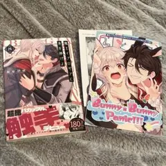 魔王イブロギアに身を捧げよ8 アニメイト限定セット 小冊子ペーパー