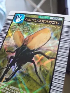 かなり希少！2004ヘルクレスオオカブト、タランドゥス未使用まとめ売り