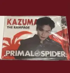 2025年最新】アクリルパネル rampageの人気アイテム - メルカリ