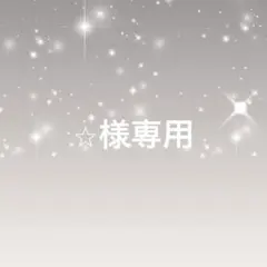 ⭐︎様専用出品