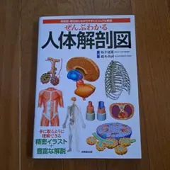 ぜんぶわかる人体解剖図