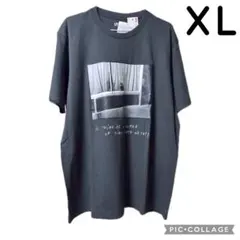 ◇ユニクロ マグナムフォト Tシャツ UT ココキャピタン 猫 半袖 XL