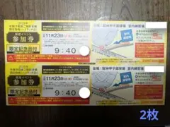 2025年 阪神タイガースハイタッチ参加券 2025年 阪神タイガースハイタッチ参加券 阪神タイガース 2024年 ファン