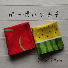 ダブルガーゼハンカチ★ハンドメイド★２枚セット＊＊複数購入がお得です♪