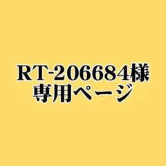 RT-206684様専用