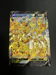 XY ピカチュウカード(069/XY-P [P] )&ルーキーポケモントレッタ