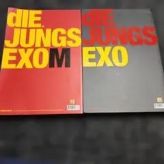 2026年最新】die jungsの人気アイテム - メルカリ