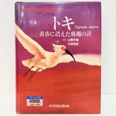 Item thumbnail for item 88570291-ab06-4f0c-b843-a81352e1f570