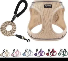 Item thumbnail for item 7bc356ef-806f-49b2-8ba1-d822822e1d1c