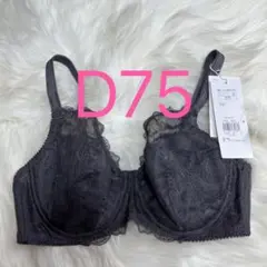 トリンプ 美胸ホールドブラ フルカップブラジャー ダークブラウン D75