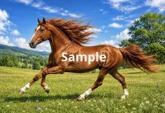 草原を駆ける栗毛の馬 デジタルアート イラスト ポストカード