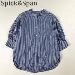 スピックアンドスパン ストライプ パールボタン タックスリーブ 半袖シャツ