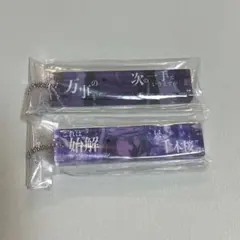 BLEACH 一番くじ F賞 アクリルキーホルダー 2点セット