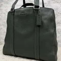 【極美品/希少色】コーチ ビジネスバッグ ハドソン レザー ダブルハンドル