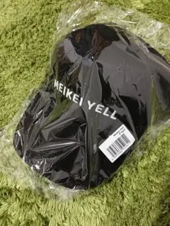 Item thumbnail for item 70c31a9a-6fa3-46b2-ace0-6f3cf4a43769