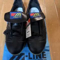 Item thumbnail for item 901a6754-db86-4855-a592-6e3bc5b65bb7