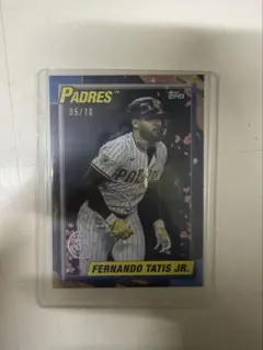 Item thumbnail for item 689be51a-f448-4036-8995-b54b6e1356e7