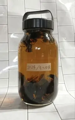 焼酎！オオスズメバチ焼酎漬け松の露 20年以上物！ 焼酎！オオスズメバチ焼酎漬け松の露 20年以上物！ 2025年最新