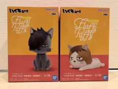 ハイキュー‼︎ Fluffy Puffy ケンマネコ＆クロオネコ2種セット